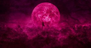 Film Review: Bulbbul Bulbbul