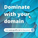 Perfect Domain Name Search