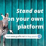 Domain Search