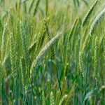 Agrix Agro