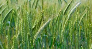 Agrix: Comprehensive AgriTech Solutions under one roof