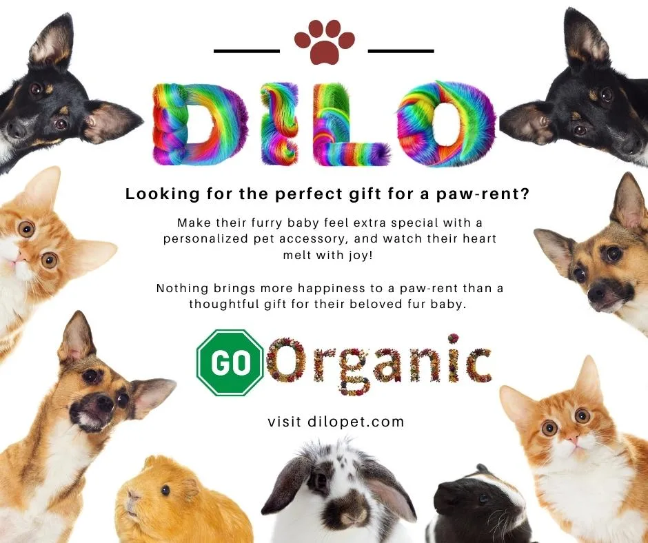 DILO Pet Toy shop for gifts on Diwali, Birthday, Dushara, Dussera, Christmas, Xmas, New Year, Dog, Friends, Relatives