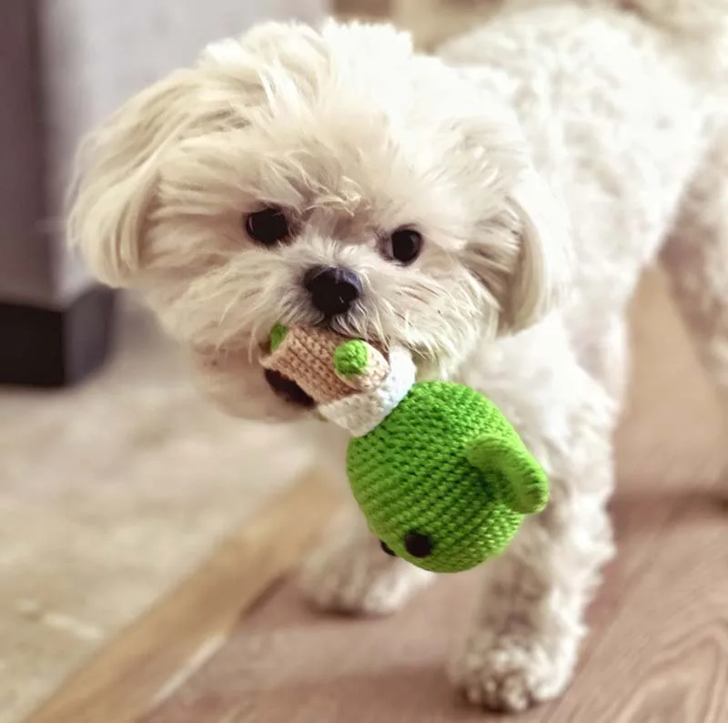Safe_ hazard-free, natural fibre filled toy and cat dog accessories from DILO Pet