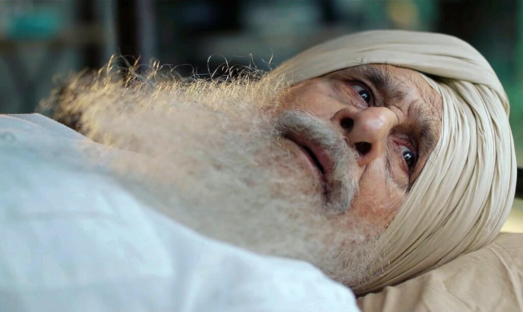 Some films entertain. Others stay with you. Main Vaapas Aaunga is a deeply humane reflection on Partition, memory and the meaning of home. A film worth watching—and thinking about.
