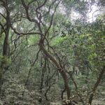 Travelling to Matheran